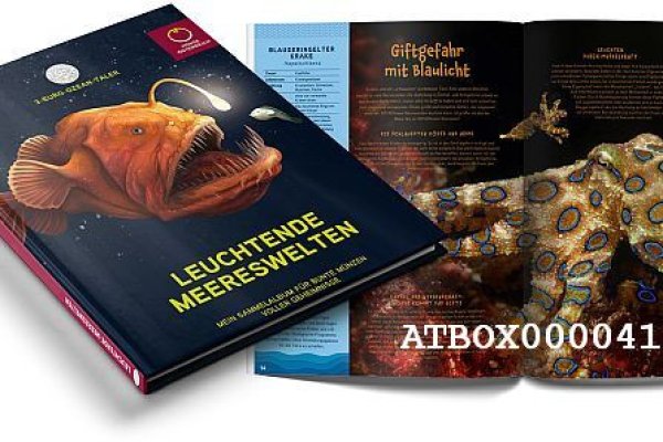 Скрытый интернет как войти
