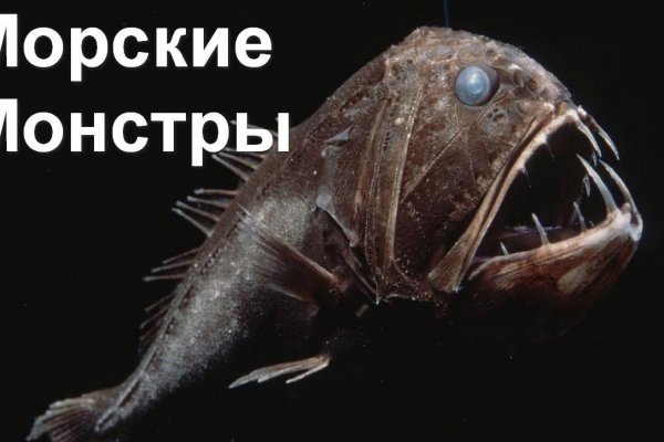 Кракен ссылка прокатис